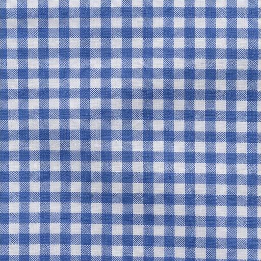 Blue Gingham